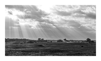 20190302-Kootwijkerzand-112