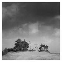 20190302-Kootwijkerzand-115