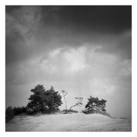 20190302-Kootwijkerzand-118