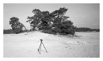 20190302-Kootwijkerzand-122