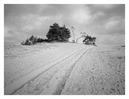 20190302-Kootwijkerzand-128