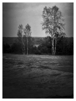 20190302-Kootwijkerzand-130