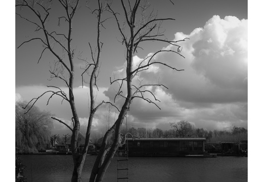 20190317-Fuji-NL-104