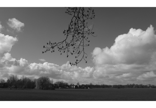 20190317-Fuji-NL-107