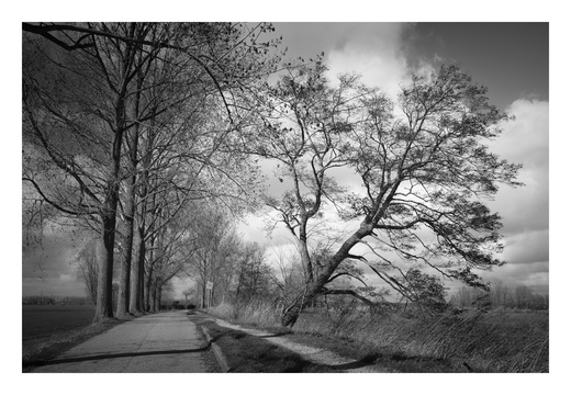 20190317-Fuji-NL-109