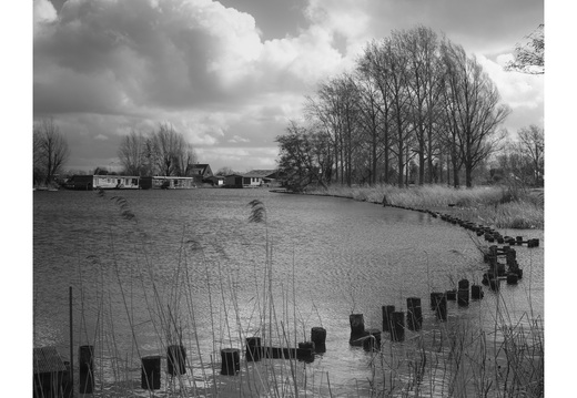 20190317-Fuji-NL-112