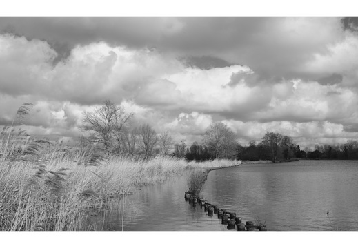 20190317-Fuji-NL-113