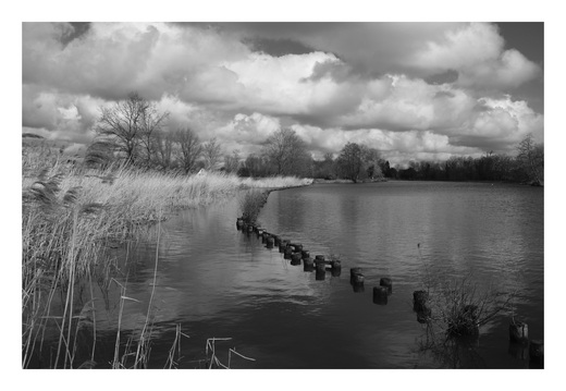 20190317-Fuji-NL-115