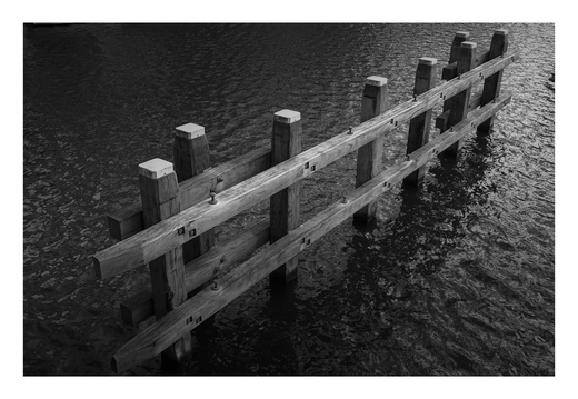 20190317-Fuji-NL-117