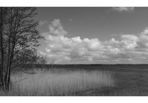 20190317-Fuji-NL-118