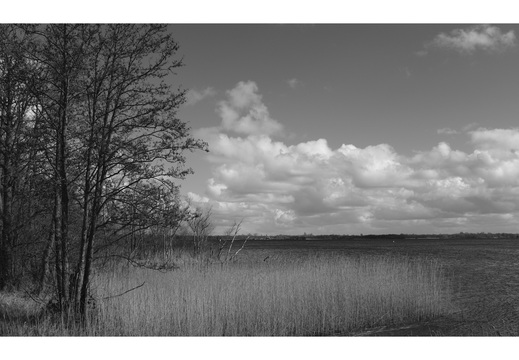 20190317-Fuji-NL-119