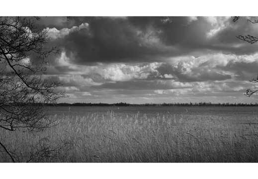 20190317-Fuji-NL-120