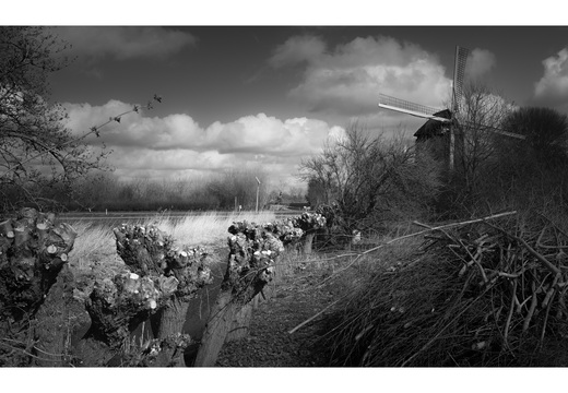 20190317-Fuji-NL-122