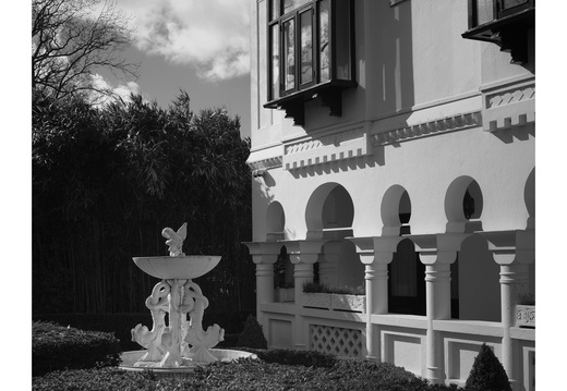 20190317-Fuji-NL-124