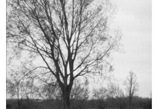 20190317-Nikon-F4S-HP5-NL-103