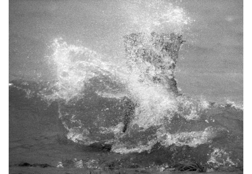 20190317-Nikon-F4S-HP5-NL-108