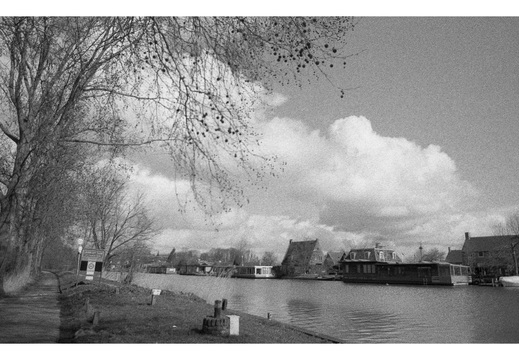 20190317-Nikon-F4S-HP5-NL-114