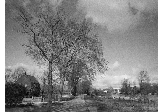 20190317-Nikon-F4S-HP5-NL-123-bewerkt