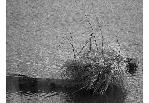 20190317-Nikon-F4S-HP5-NL-135