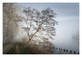 20190323-Vecht-101
