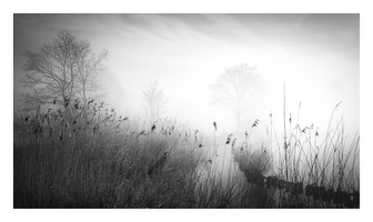 20190323-Vecht-105