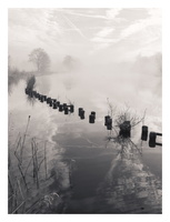 20190323-Vecht-108