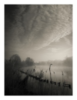 20190323-Vecht-114
