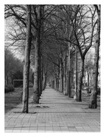 20190330-Nikon-F5-Delta100-Amsterdam-115