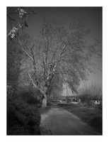 20190408-M-21mm-Vecht-101