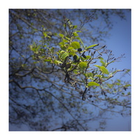 20190408-M-21mm-Vecht-107