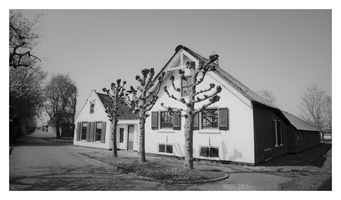 20190408-Pentax-LX-24mm-Delta100-Vecht-105
