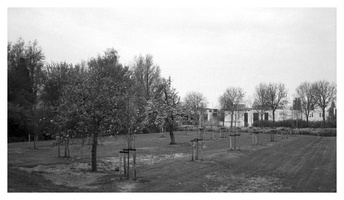 20190406-LeicaM6-Delta400-Amsterdam-103