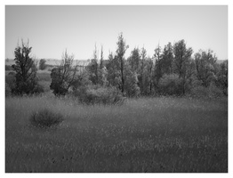 20190421-Pasen-118
