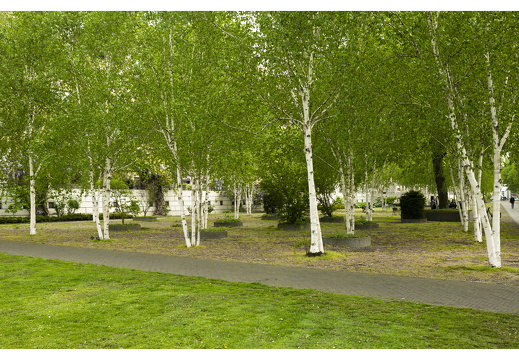 20190429-M-Maastricht-154