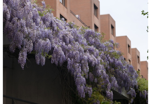 20190429-M-Maastricht-288