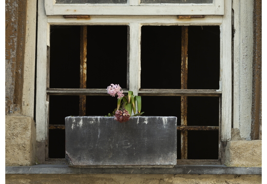 20190430-M-Monschau-102