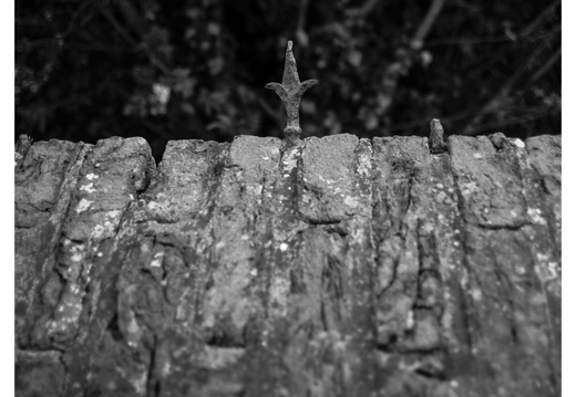 20190505-Vecht-116