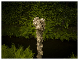 20190505-Vecht-119