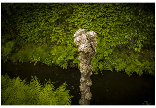20190505-Vecht-120