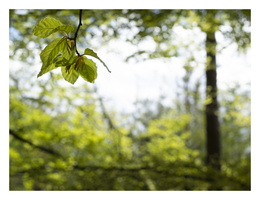 20190512-M-Vierhouten-112