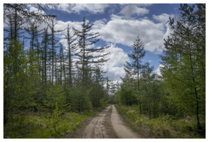 20190512-M-Vierhouten-113