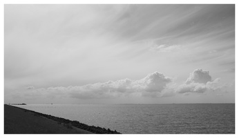 20190609-X100F-Oostvaardersdijk-100