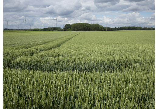 20190612-M-Cugny-110