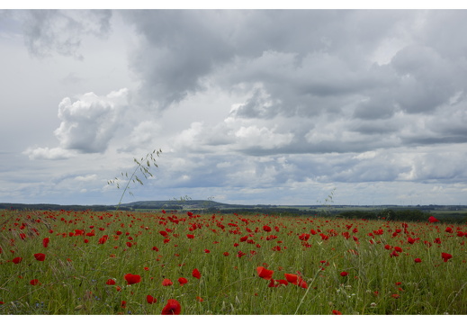 20190612-M-Cugny-113