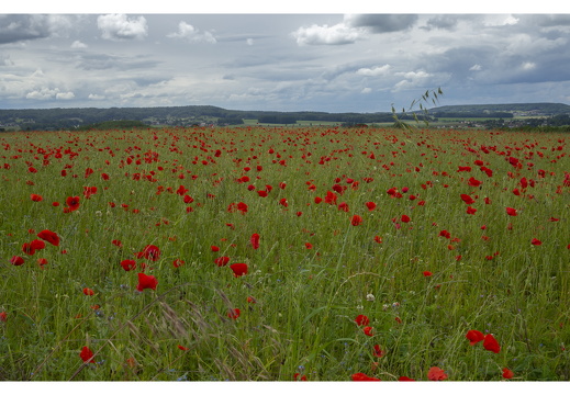 20190612-M-Cugny-114