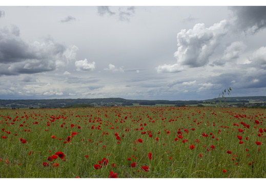 20190612-M-Cugny-115