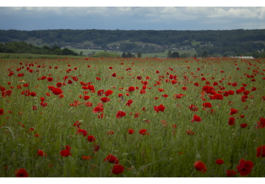 20190612-M-Cugny-117