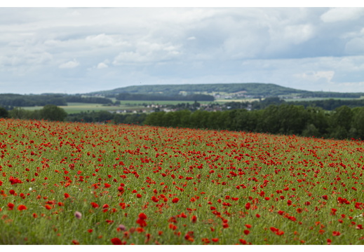 20190612-M-Cugny-118
