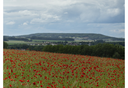 20190612-M-Cugny-119