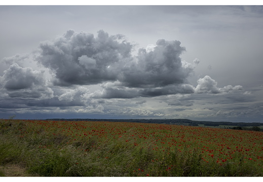 20190612-M-Cugny-120